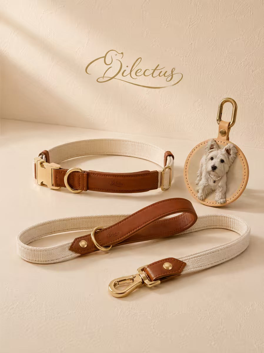 Dual-layer dog collar with leather outer and woven ribbon core