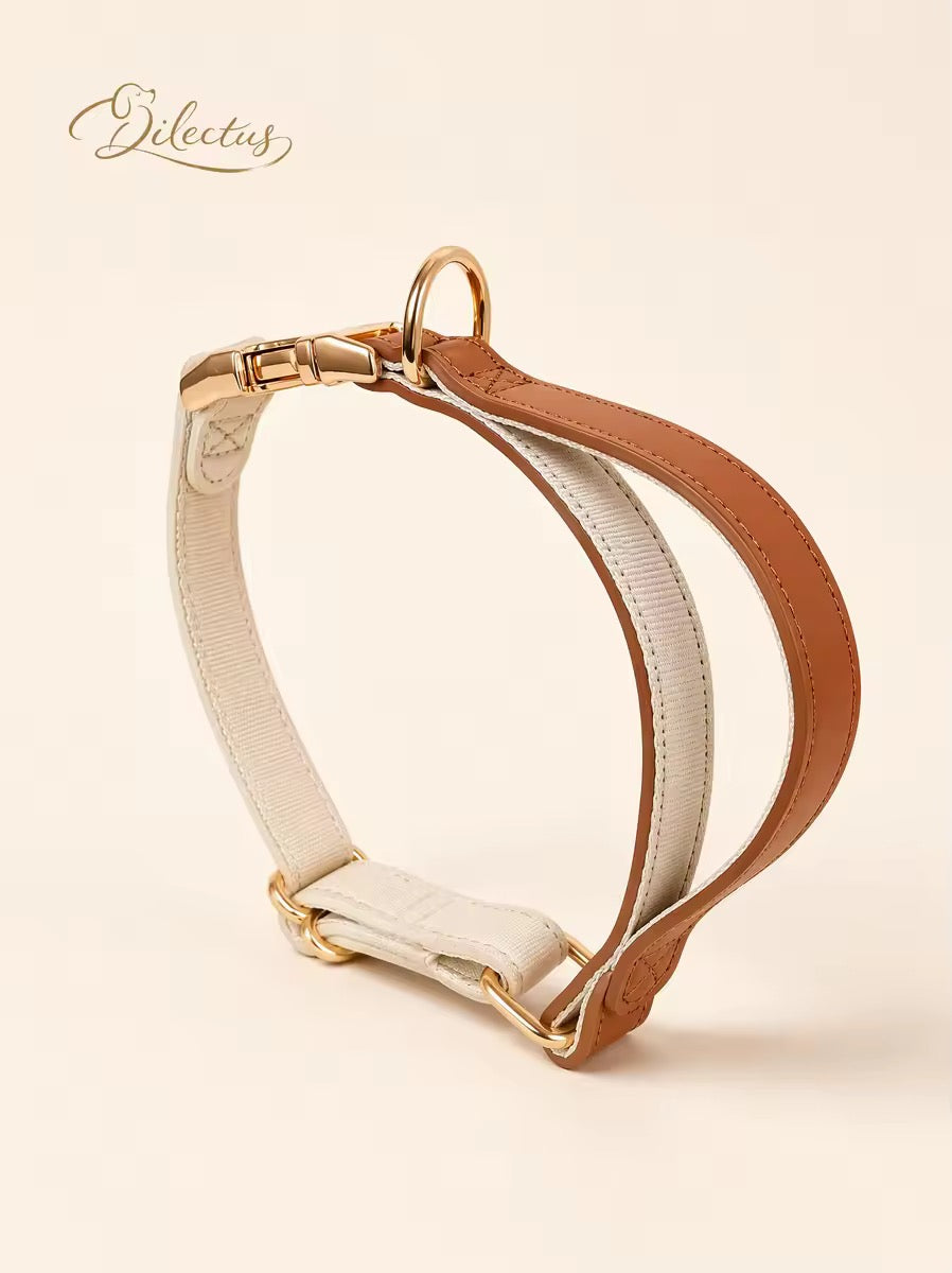 Leather & Woven Ribbon Dog Collar and Lead