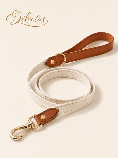 Leather & Woven Ribbon Dog Collar and Lead