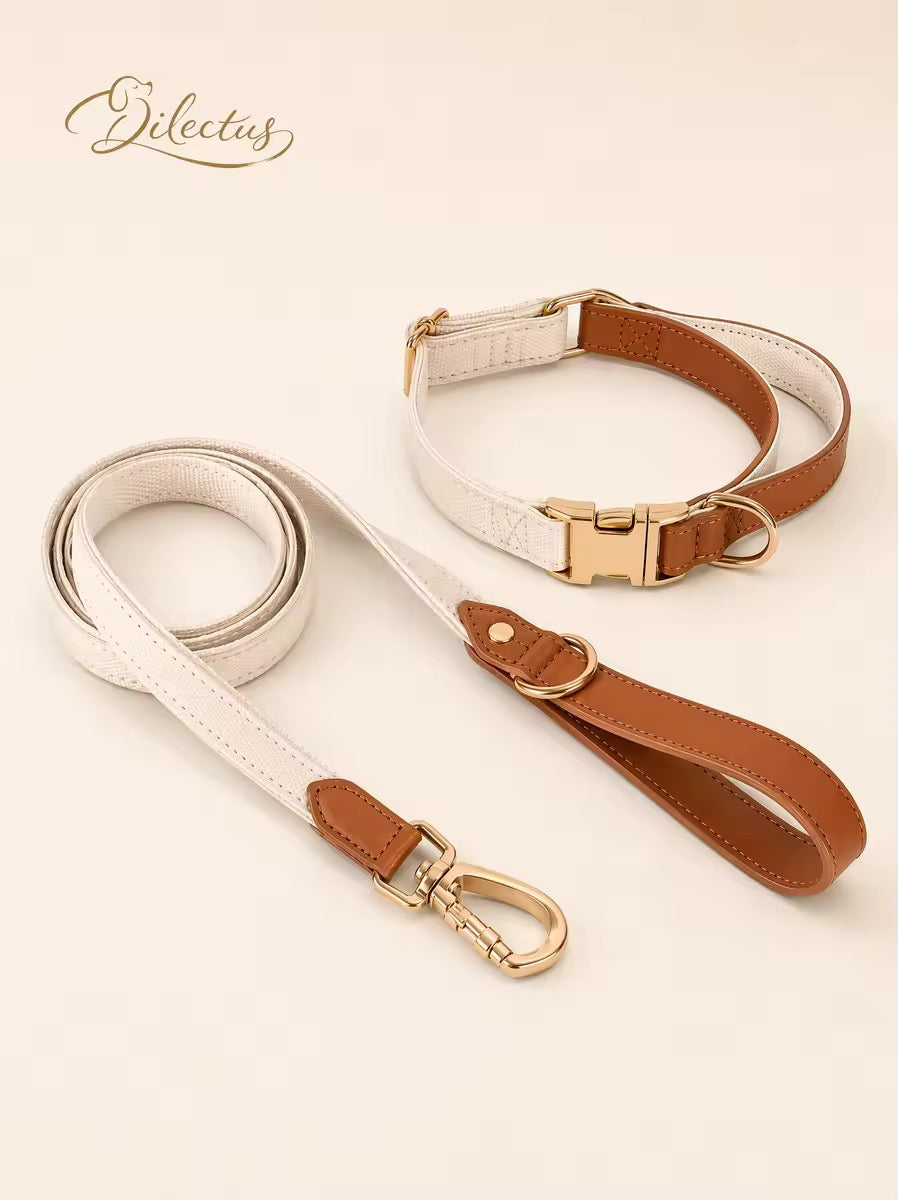 Close-up of the collar hardware and leather finish on the woven ribbon core