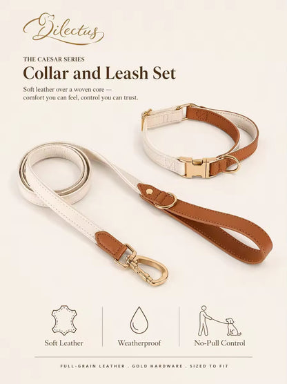 Collar and lead worn together on a walk