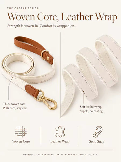 Full collar and lead pair laid out with matched hardware